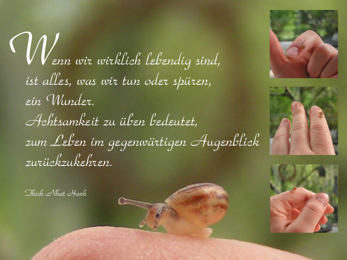 Achtsamkeit